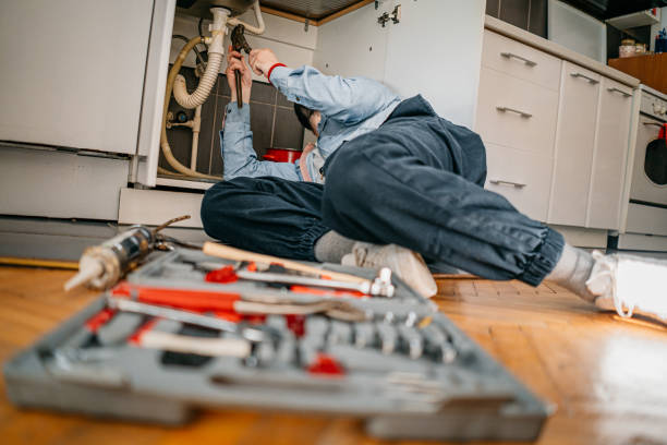 Best Plumbing Services Near Me  in Rolling Meadows, IL
