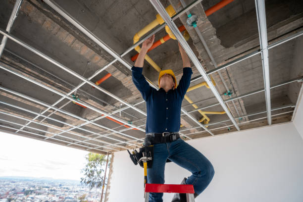 Best 24-Hour Plumber Near Me  in Rolling Meadows, IL
