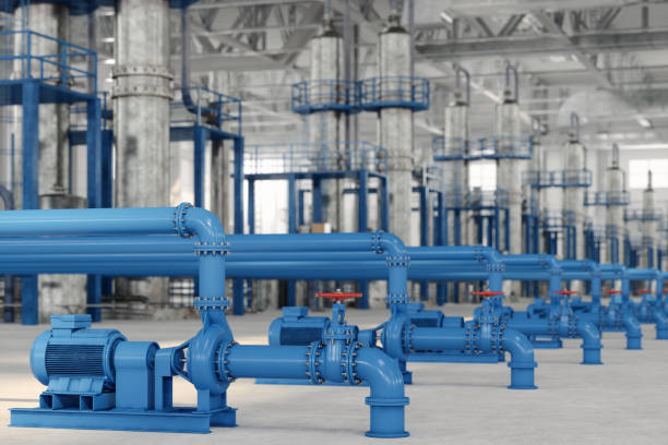 Best Plumbing Inspection Services  in Rolling Meadows, IL