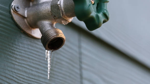 Best Plumbing Inspection Services  in Rolling Meadows, IL