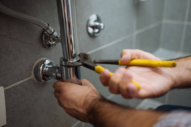 Best Clogged Drain Plumber  in Rolling Meadows, IL