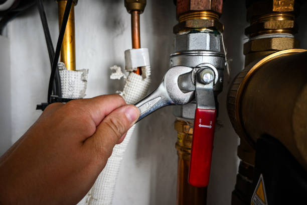 Best Same-Day Plumbing Service  in Rolling Meadows, IL